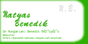 matyas benedik business card